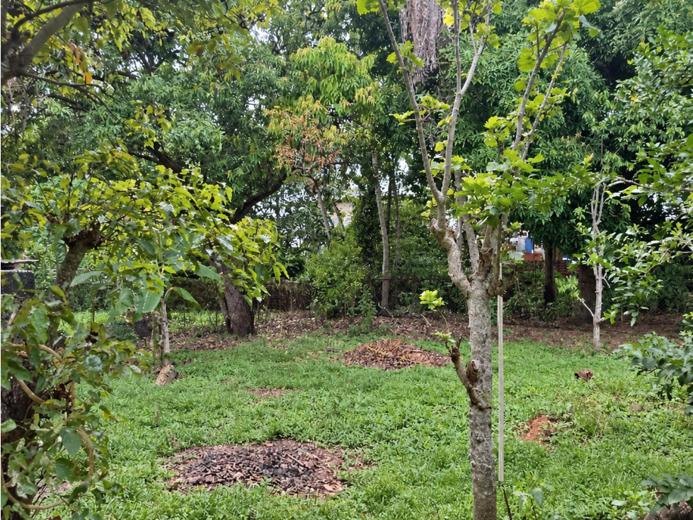 Propiedad con Terreno de 1,000 m² en Venta | Villa Cecilia, Pedregal — foto 5