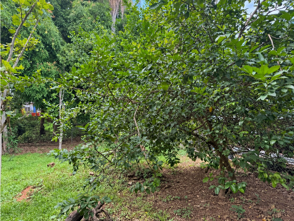 Propiedad con Terreno de 1,000 m² en Venta | Villa Cecilia, Pedregal — foto 3