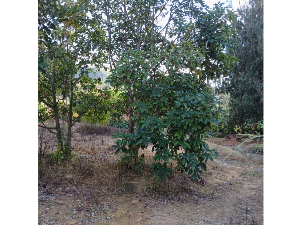 Lote en Venta Villa Panachi, Mesa de los Santos - 5