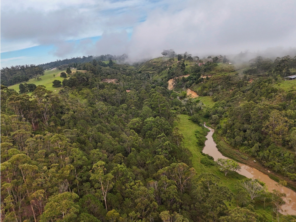 Finca en venta de 13,2 hectáreas en La Mesa de los Santos - 5