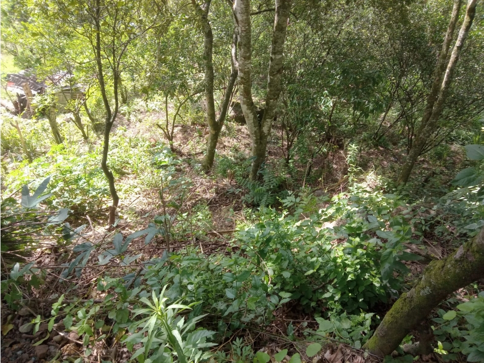 Lote en Venta Vereda La Vejaranas, San Gil - 4