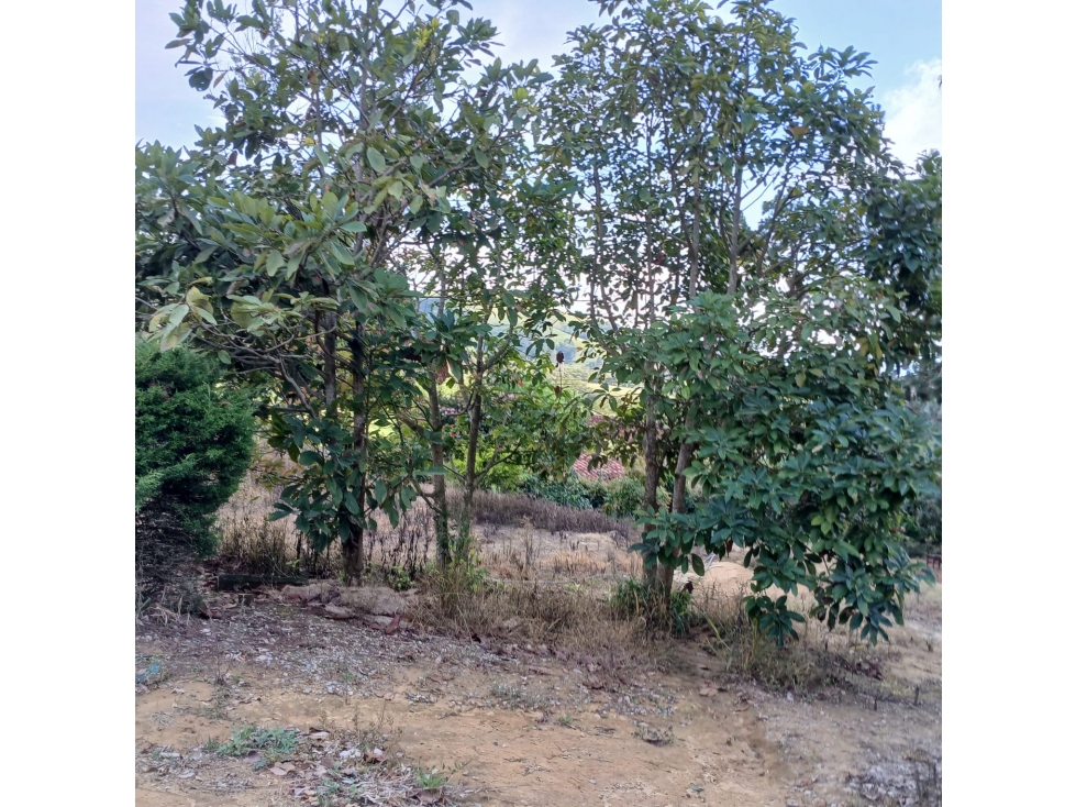 Lote en Venta Villa Panachi, Mesa de los Santos - 6
