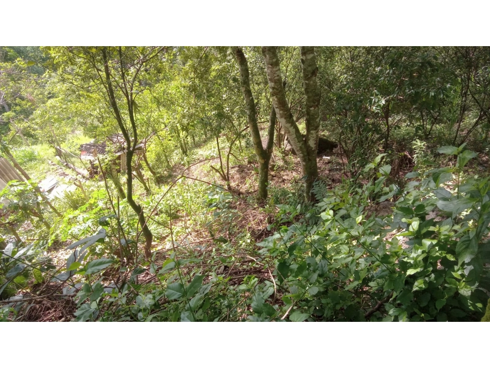 Lote en Venta Vereda La Vejaranas, San Gil - 5