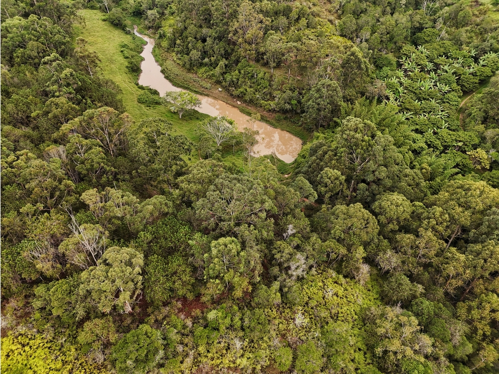 Finca en venta de 13,2 hectáreas en La Mesa de los Santos - 3