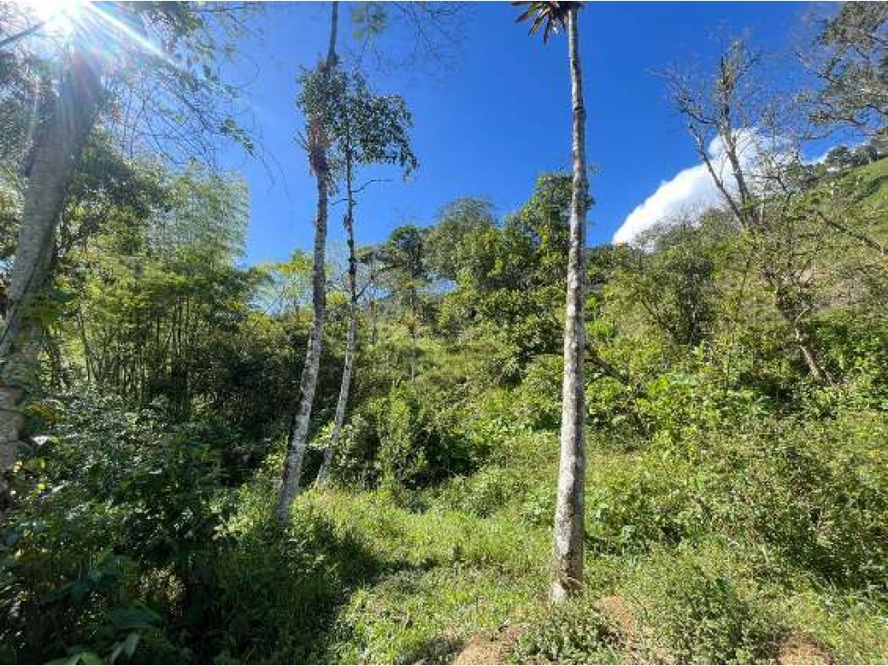 Venta de Lote Con DESCUENTO En La Vega Cundinamarca - 1