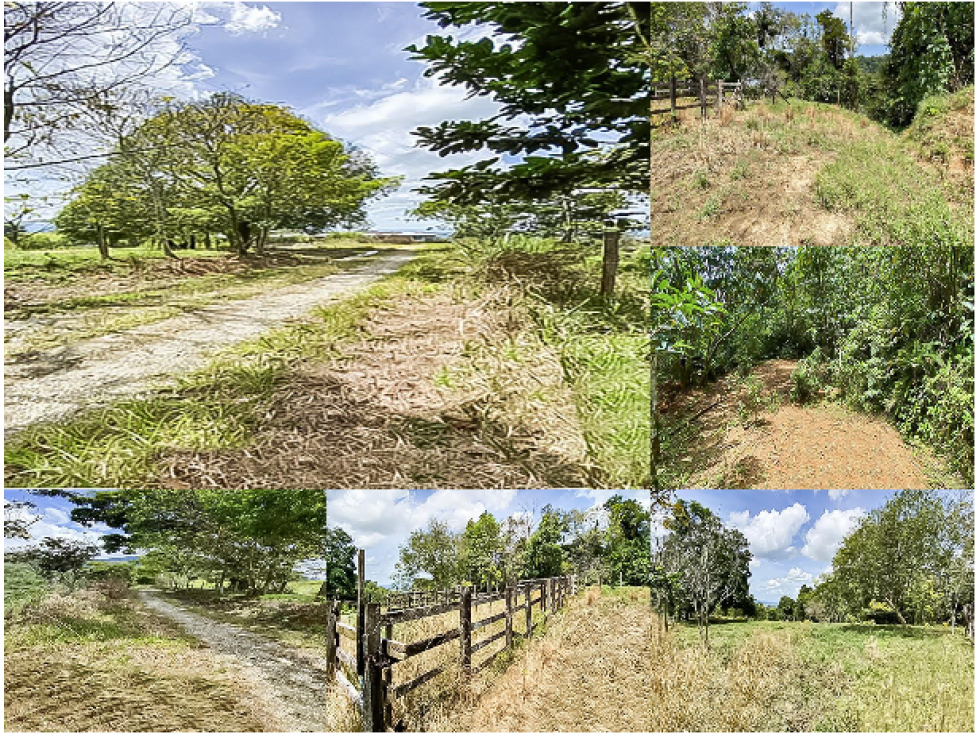 Venta de Finca en Cubarral Meta - 1