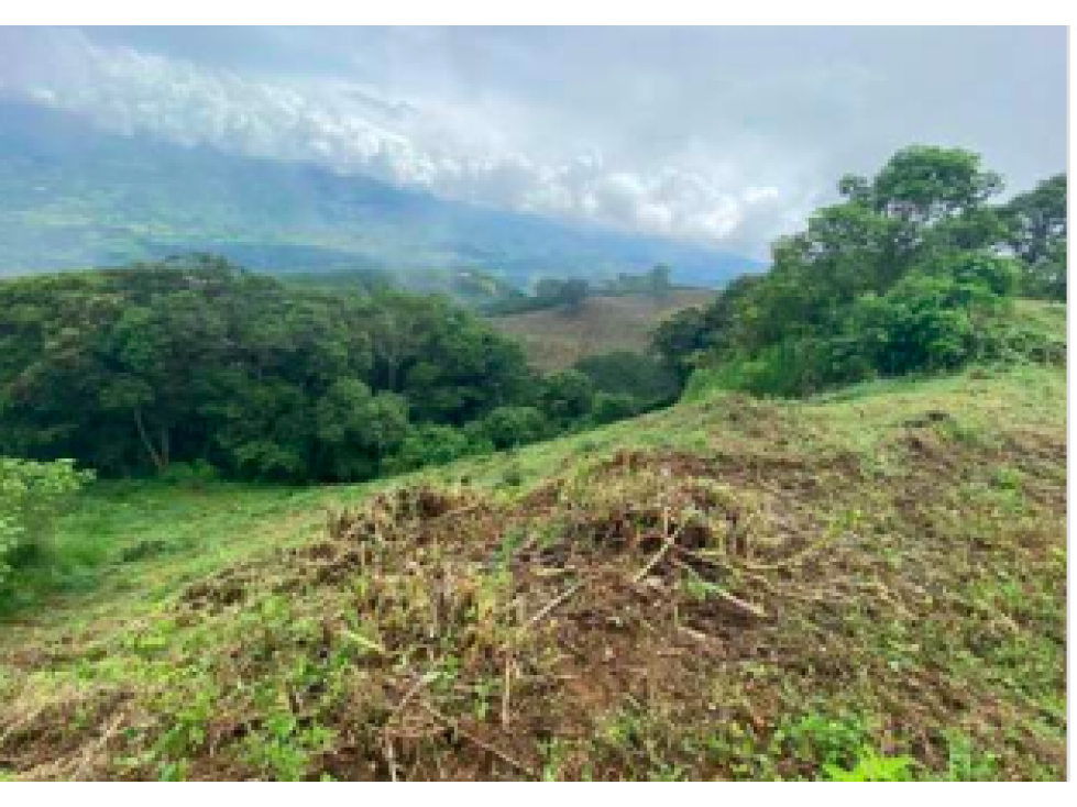Venta de Lote En San José Caldas - 1