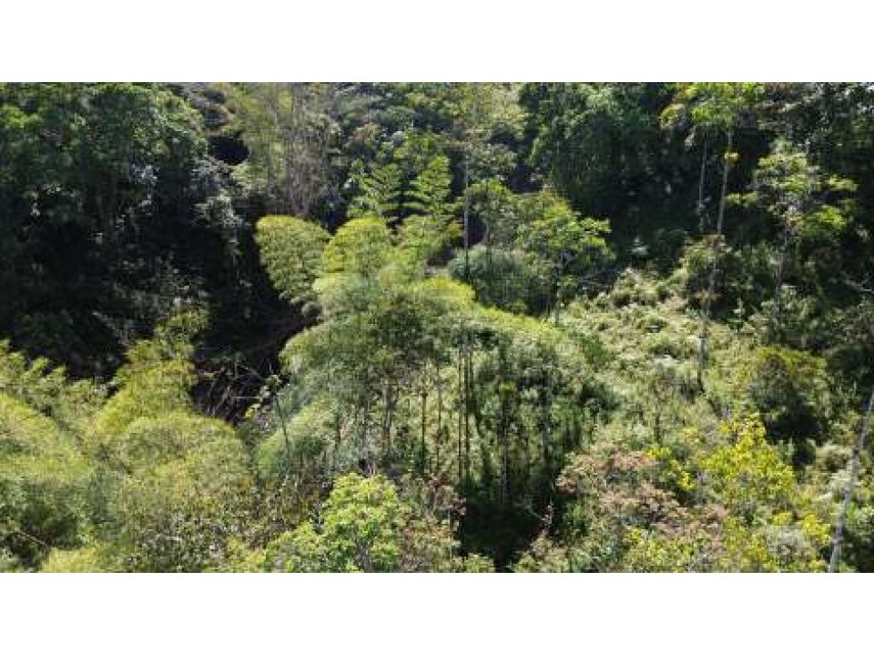 Venta de Lote Con DESCUENTO En La Vega Cundinamarca - 2