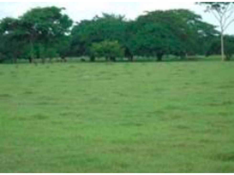 Venta de Lote Con DESCUENTO en Arjona Bolívar - 2