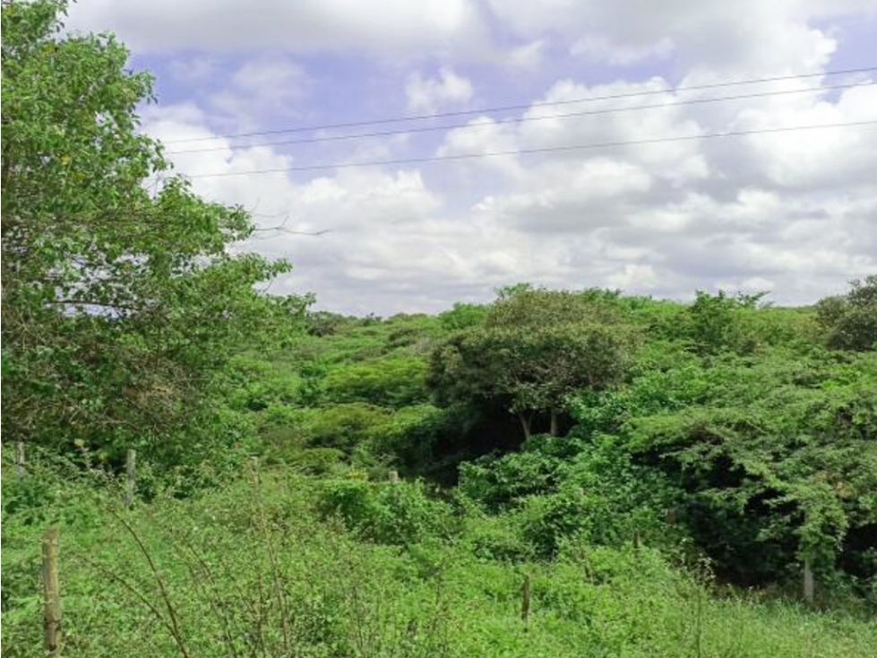 Venta de Finca Con DESCUENTO en Sitionuevo Magdalena - 2