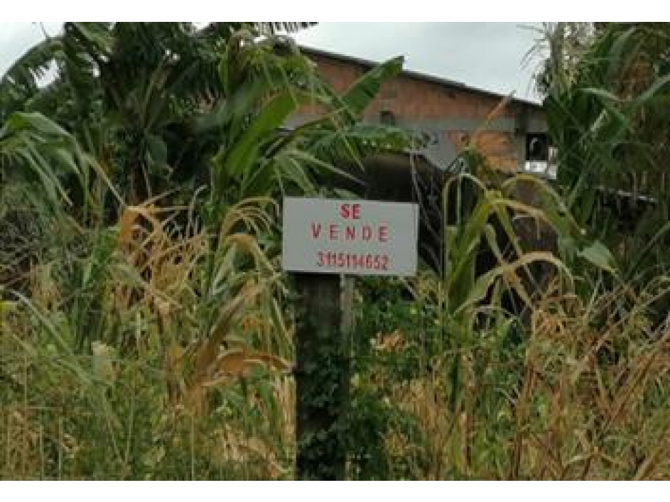 Venta de Casa En Paz De Ariporo Casanare - 2