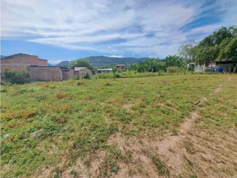 Venta de Lote En Prado Tolima - 3