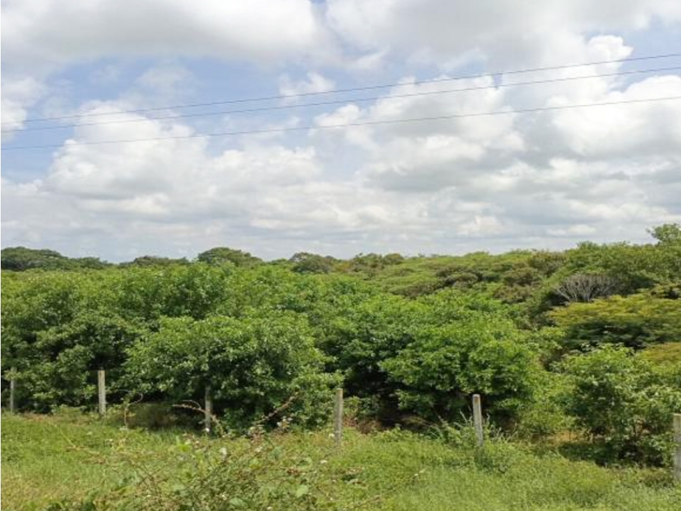 Venta de Finca Con DESCUENTO en Sitionuevo Magdalena - 3