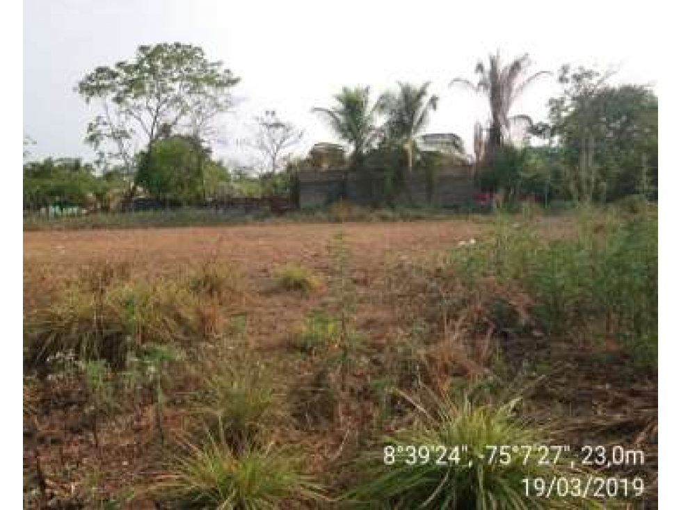 Venta de Lote En San Marcos Sucre - 4