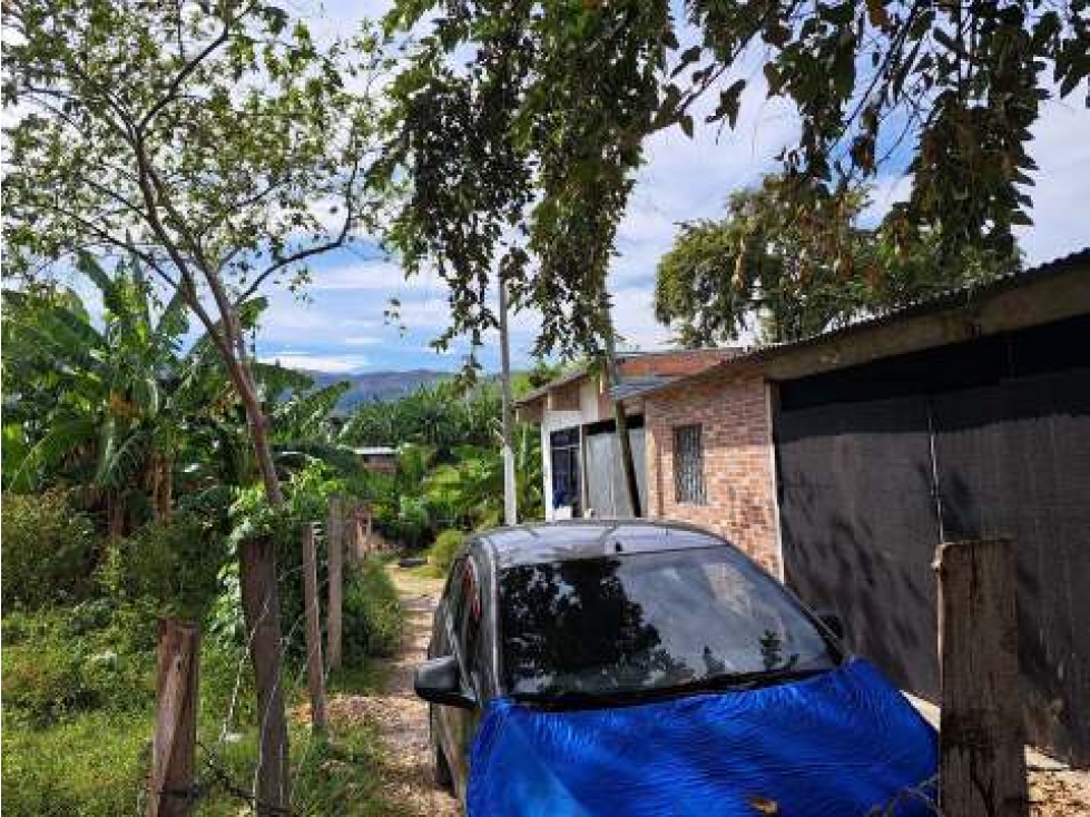 Venta de Lote En Prado Tolima - 4