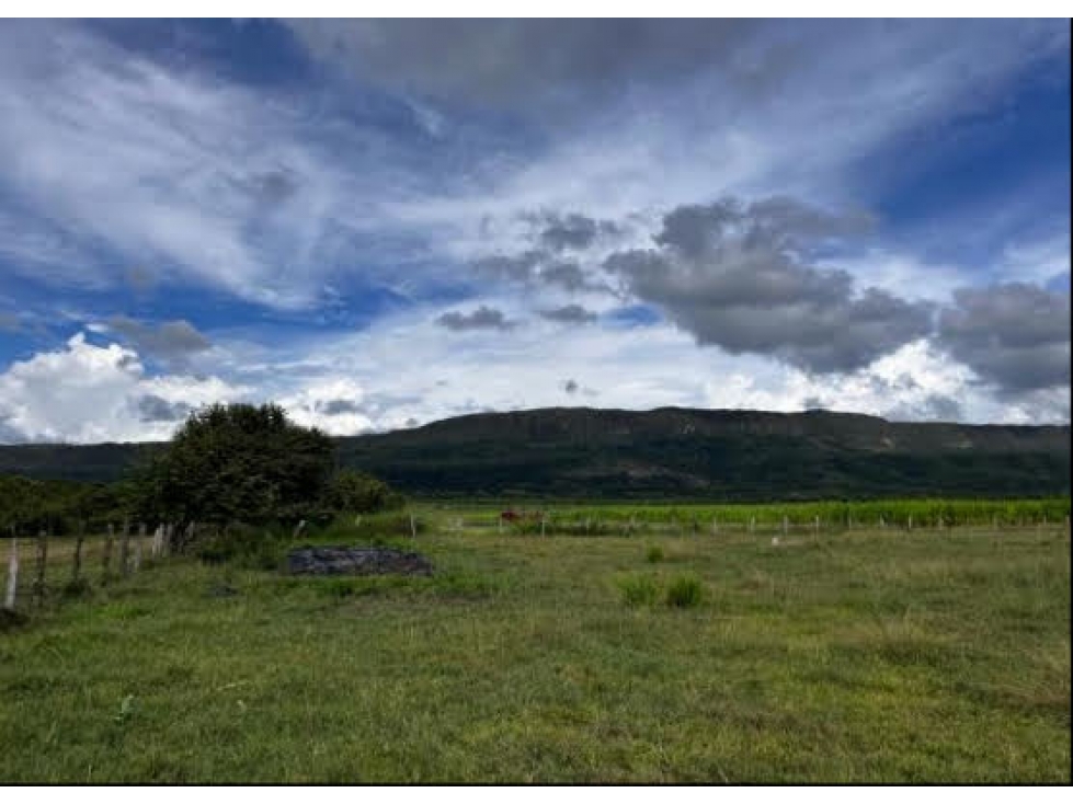 Venta de Lote / Terreno en Suarez Tolima - 4