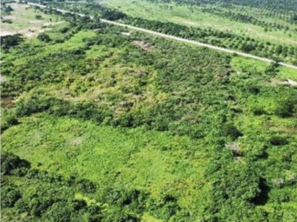 Venta de Finca Con DESCUENTO en Sitionuevo Magdalena - 4