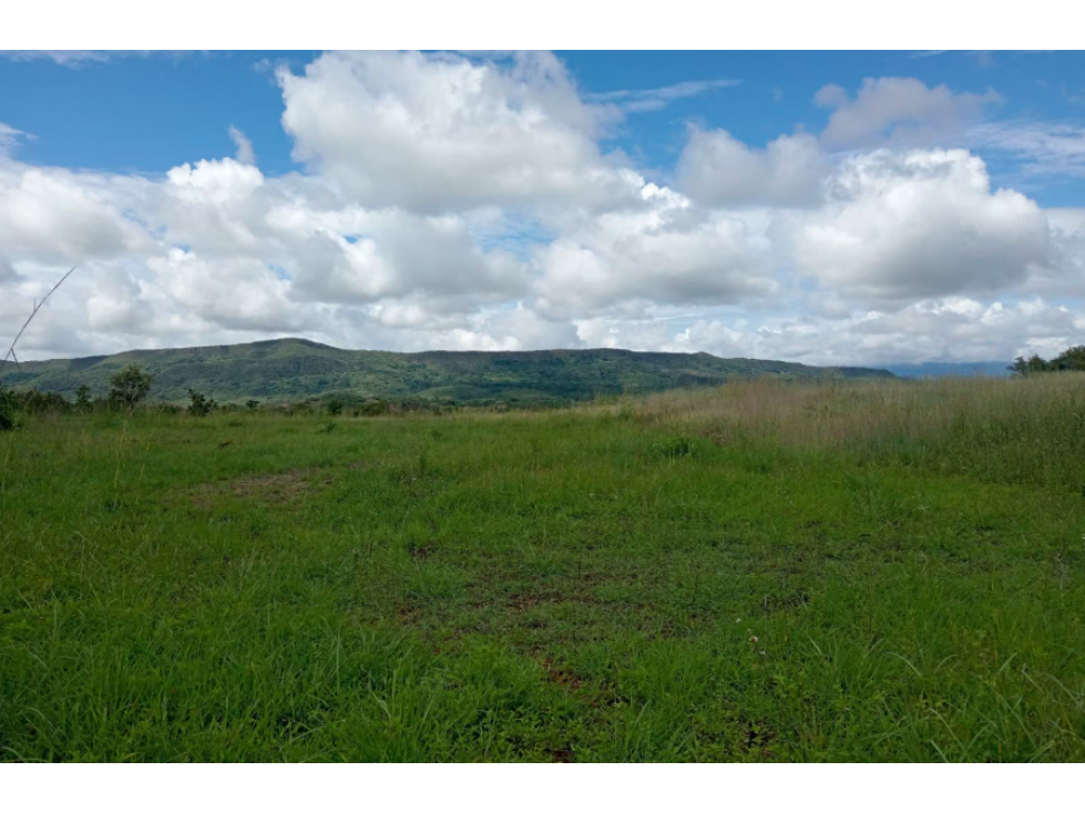 Venta de Lote Con DESCUENTO en Palermo Huila - 4
