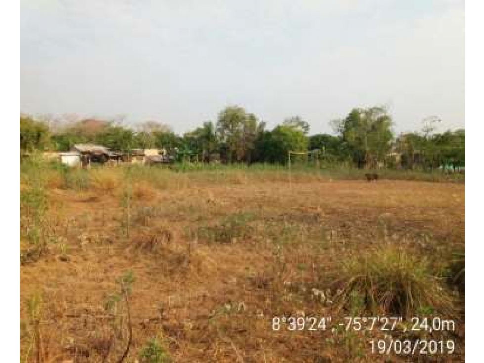 Venta de Lote En San Marcos Sucre - 5