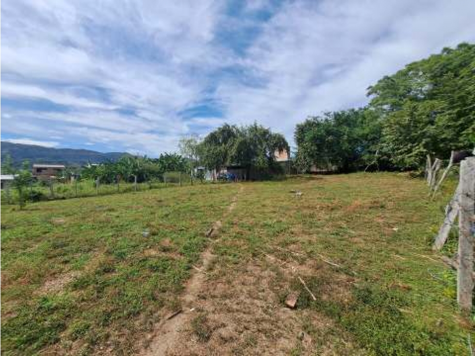 Venta de Lote En Prado Tolima - 5