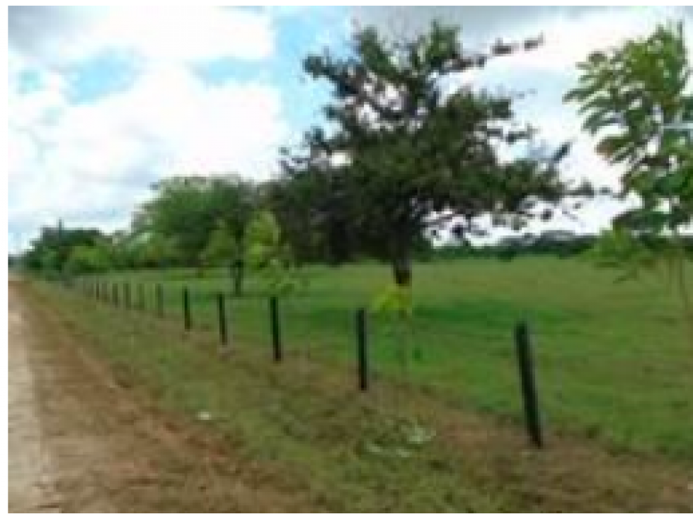 Venta de Lote Con DESCUENTO en Arjona Bolívar - 5