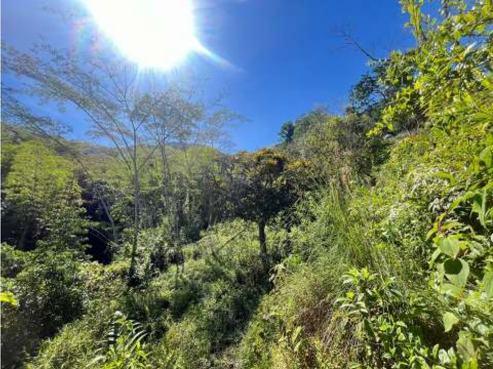 Venta de Lote Con DESCUENTO En La Vega Cundinamarca - 5