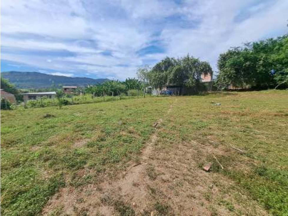 Venta de Lote En Prado Tolima - 6