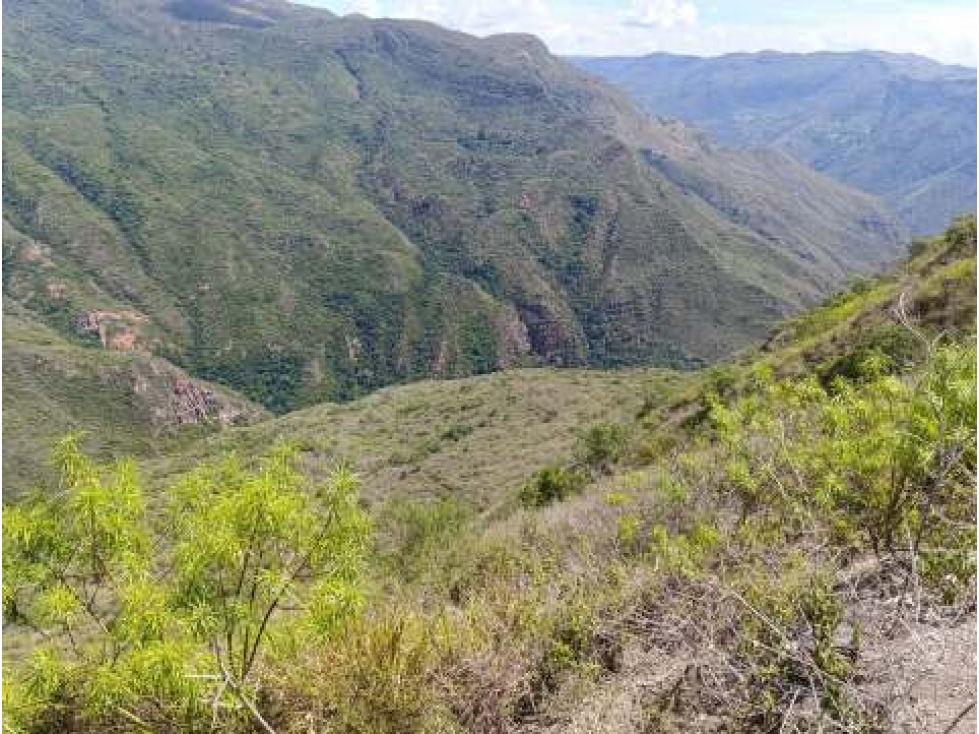 Venta de Finca En Zapatoca Santander - 6