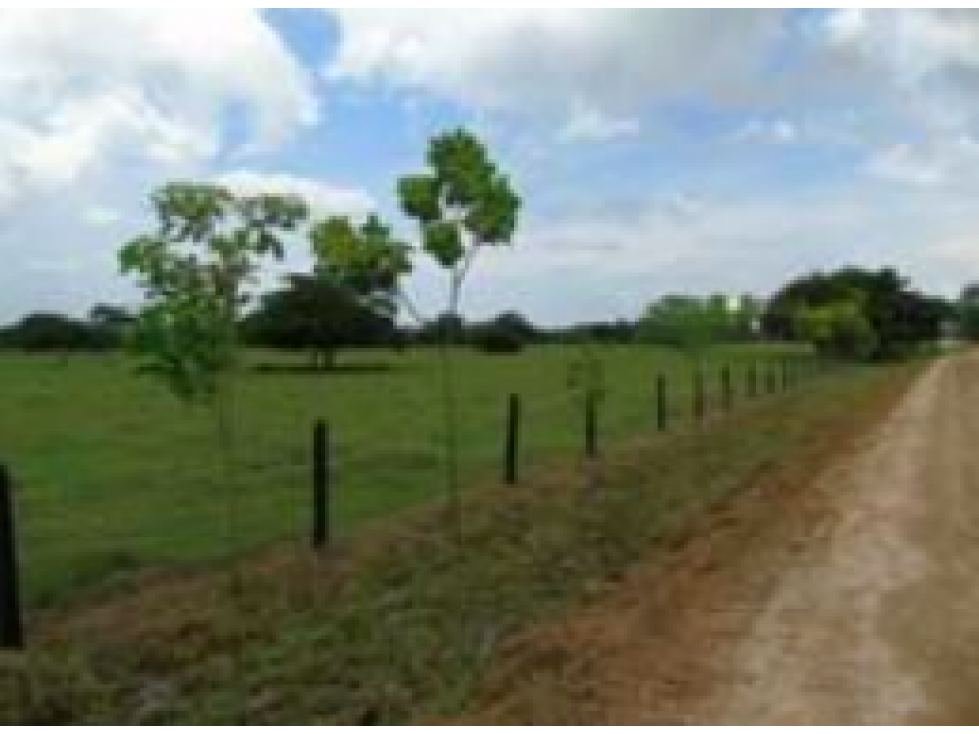 Venta de Lote Con DESCUENTO en Arjona Bolívar - 6