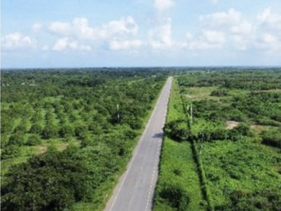 Venta de Finca Con DESCUENTO en Sitionuevo Magdalena - 6