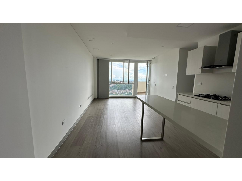 vendo Apartamento avenida sur en Pereira, vista panoramica — foto 2
