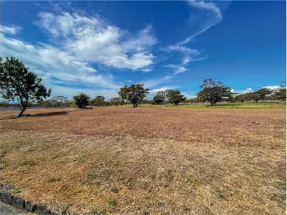 VENTA DE LOTE RESIDENCIAL 3000 M2 - CANYON VILLAGE- CHIRIQUÍ — foto 3