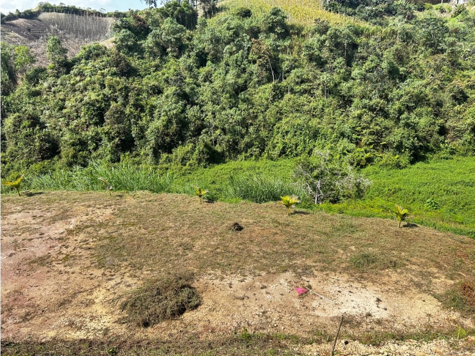 Lote Campestre en Venta Vereda El Socorro Marinilla - 4