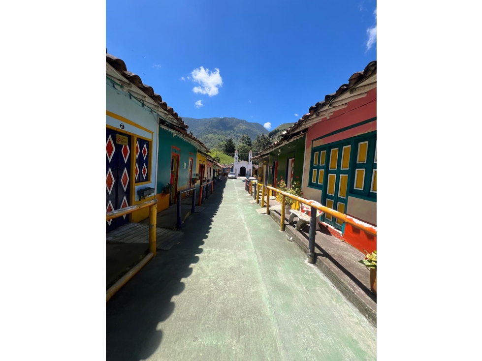 Finca en Venta San Sebastián de Palmitas — foto 6