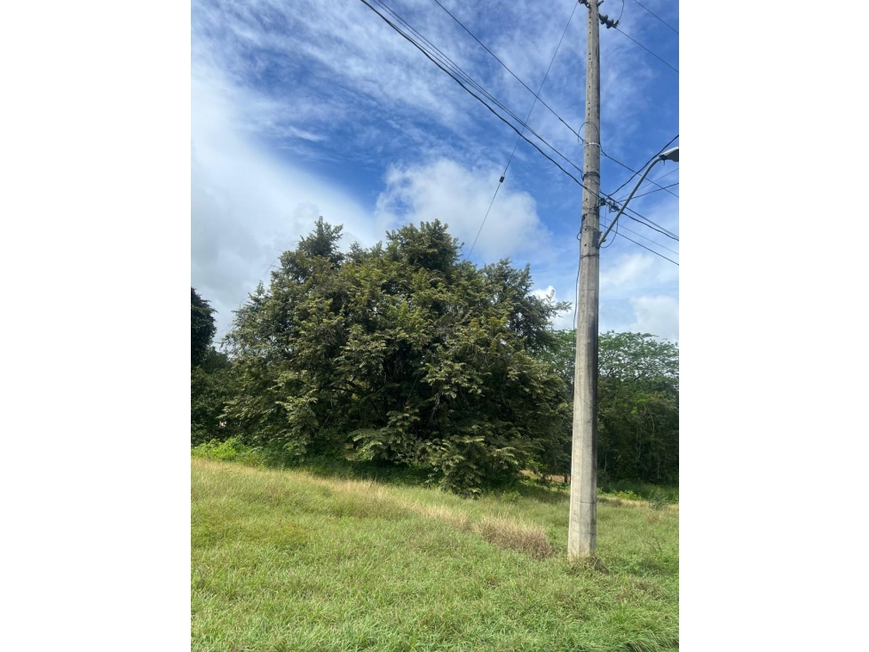 Lote en Venta Vereda Llano de Montaña Sopetrán Antioquia — foto 5