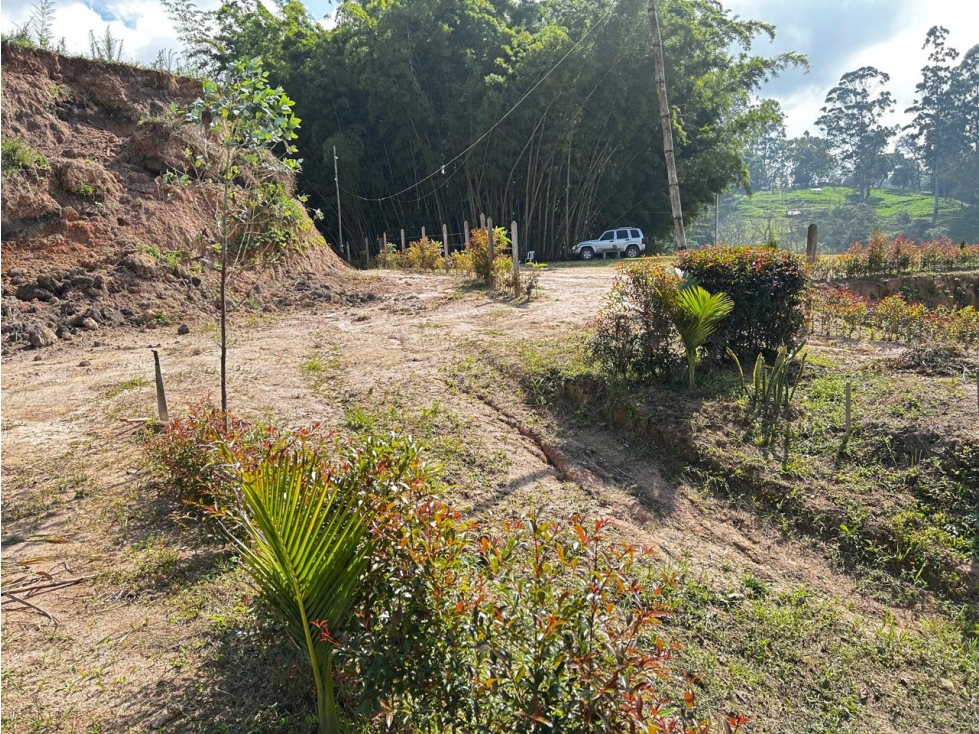 Lote Campestre en Venta Vereda El Socorro Marinilla - 6