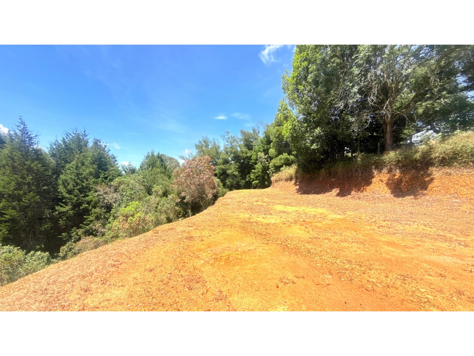 LOTE EN VENTA 10.000M2 EN LA MOSQUITA - CERCA AL AEROPUERTO JMC — foto 2