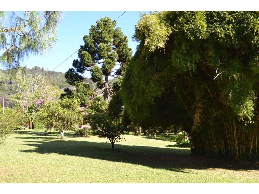 LOTE 10.000M2 EN VENTA EN LA CEJA - TOPOGRAFÍA PLANA — foto 5