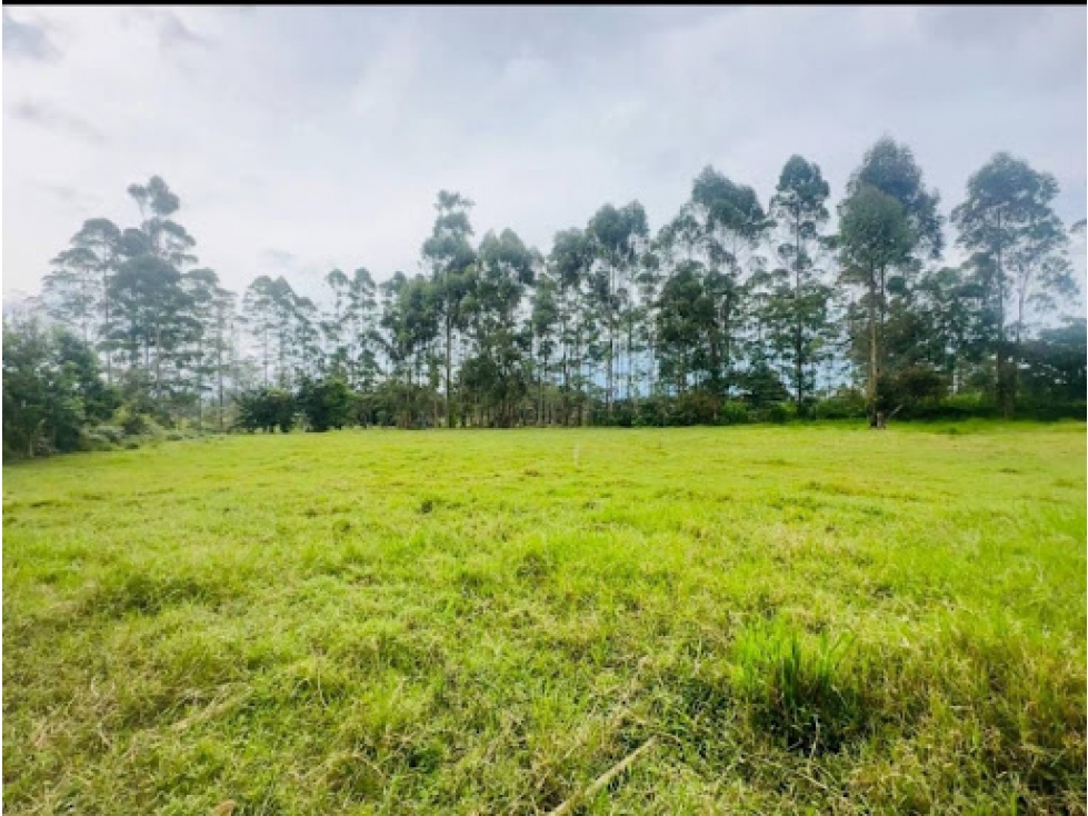 LOTE COMERCIAL EN VENTA EN LLANOGRANDE