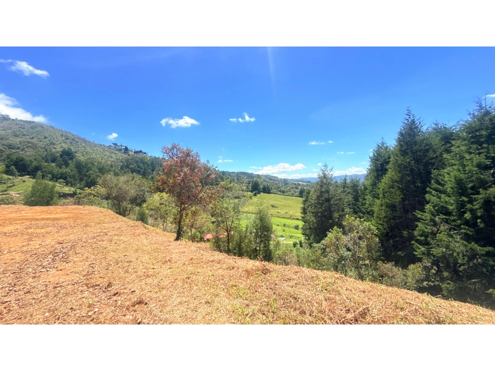 LOTE EN VENTA 10.000M2 EN LA MOSQUITA - CERCA AL AEROPUERTO JMC — foto 5