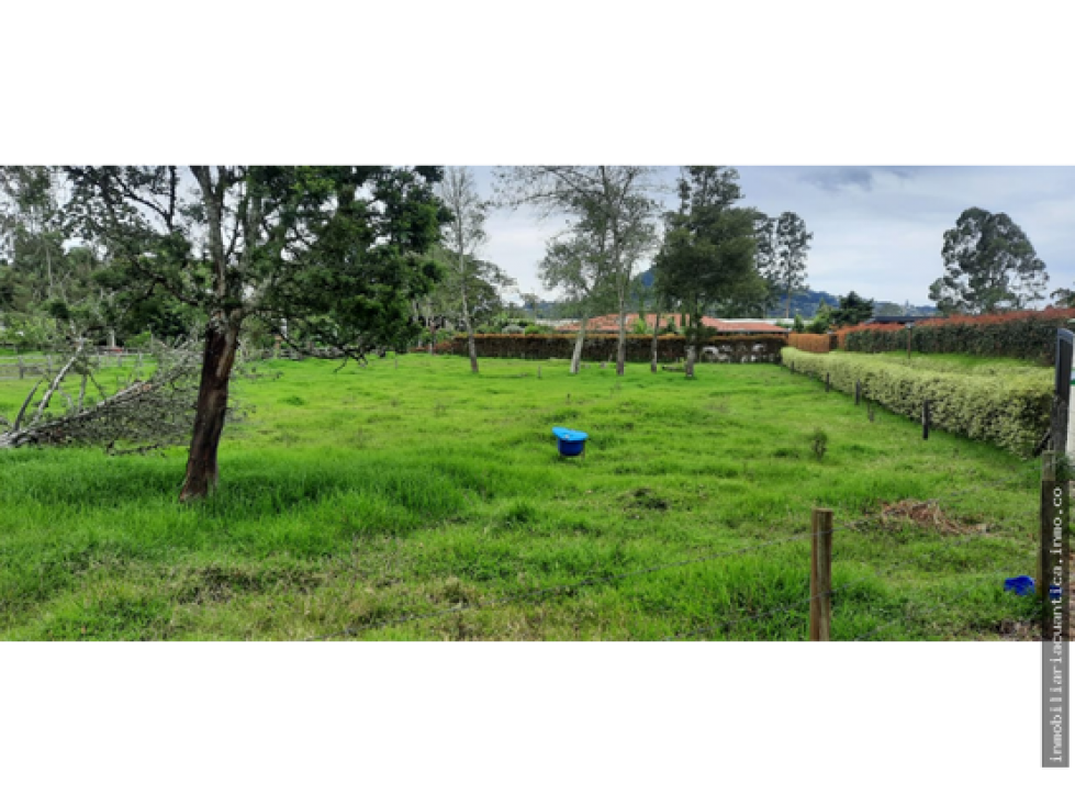 LOTE A LA VENTA EN LA VEREDA EL CAPIRO, LA CEJA - TOTALMENTE PLANO - 1