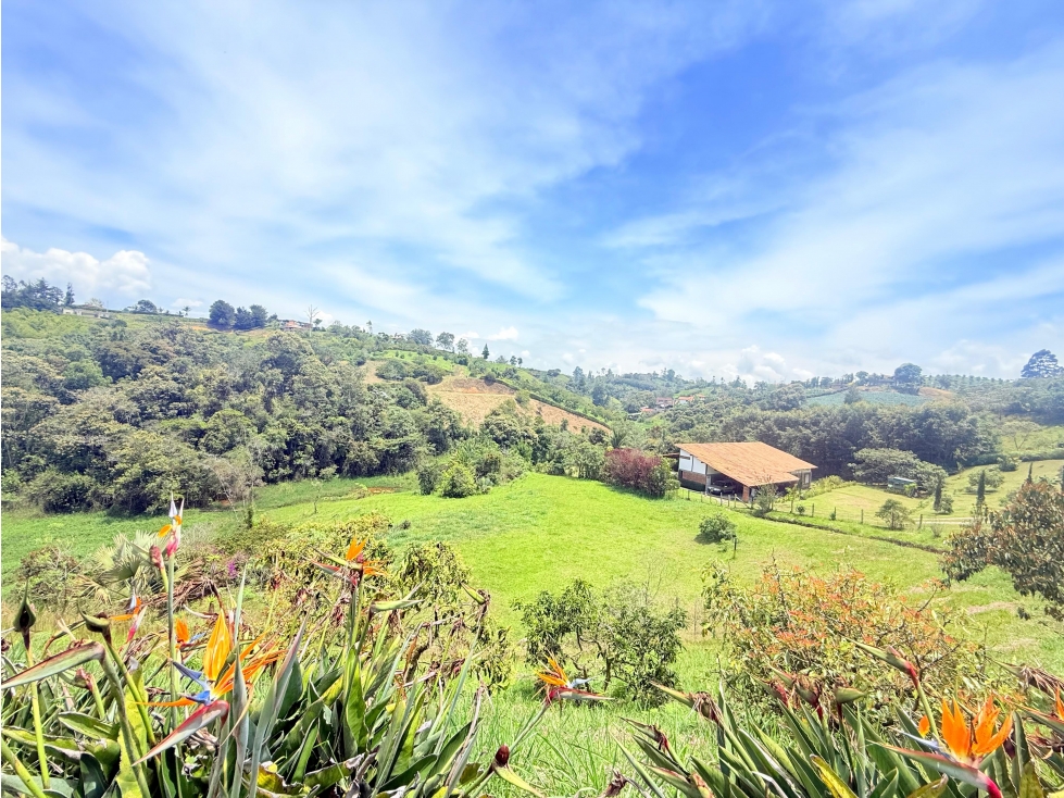 CASA CAMPESTRE EN VENTA EN EL CARMEN DE VIBORAL — foto 4