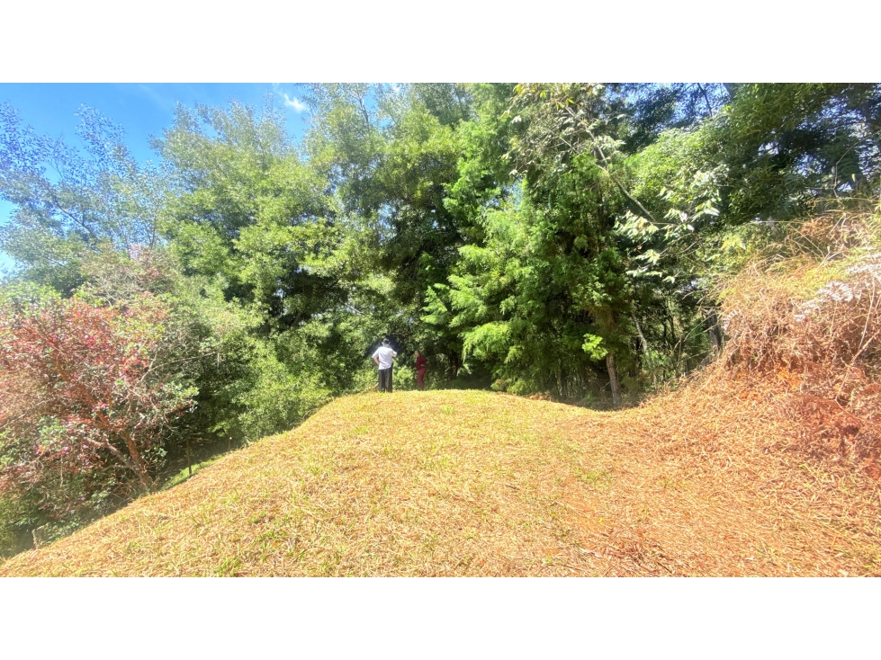 LOTE EN VENTA 10.000M2 EN LA MOSQUITA - CERCA AL AEROPUERTO JMC — foto 6
