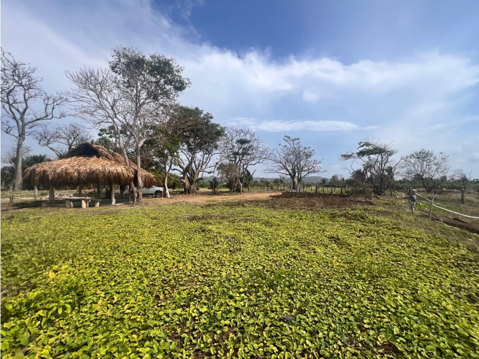 LOTE AL FRENTE DE LA PLAYA A LA VENTA - LOS CORDOBAS - 3
