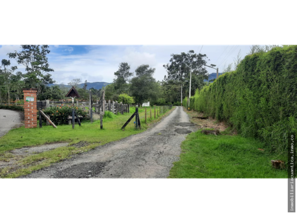 LOTE A LA VENTA EN LA VEREDA EL CAPIRO, LA CEJA - TOTALMENTE PLANO - 4