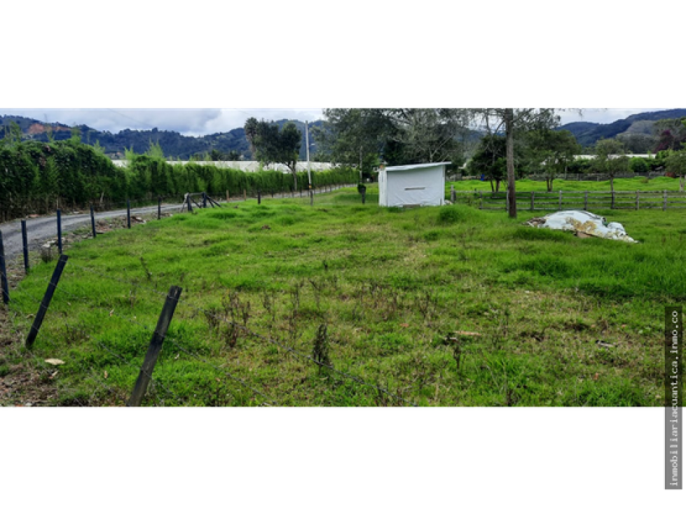 LOTE A LA VENTA EN LA VEREDA EL CAPIRO, LA CEJA - TOTALMENTE PLANO - 2