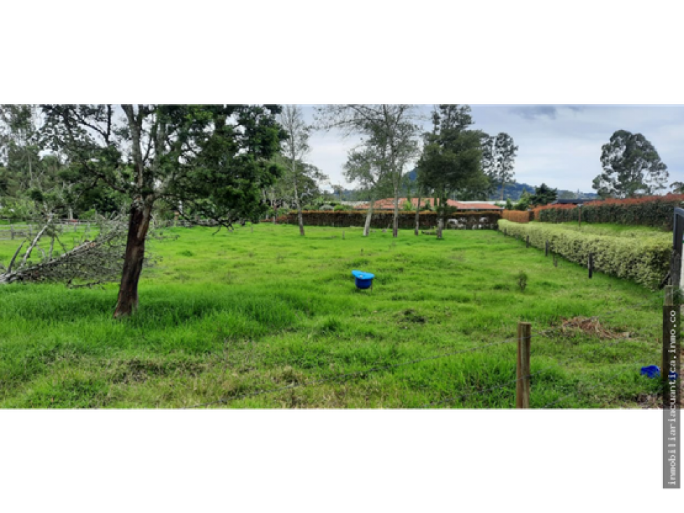 LOTE A LA VENTA EN LA VEREDA EL CAPIRO, LA CEJA - TOTALMENTE PLANO - 5