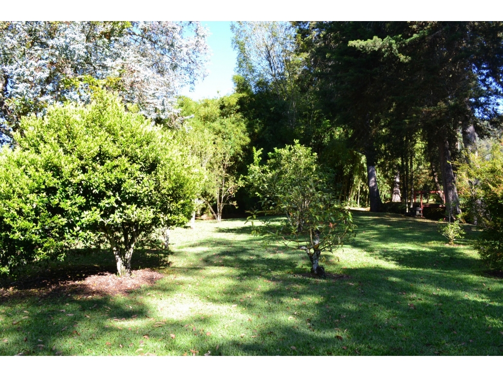 LOTE 10.000M2 EN VENTA EN LA CEJA - TOPOGRAFÍA PLANA — foto 4