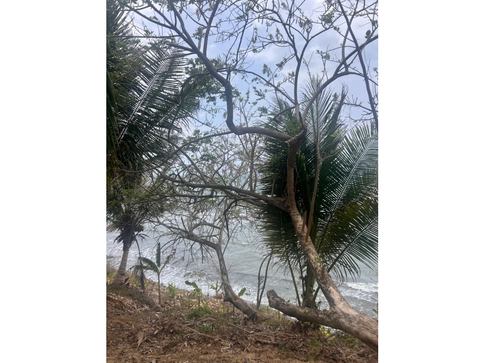 LOTE A LA VENTA EN PUERTO ESCONDIDO - FRENTE A LA PLAYA - 6