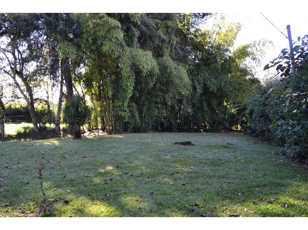 LOTE 10.000M2 EN VENTA EN LA CEJA - TOPOGRAFÍA PLANA — foto 6